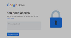 You Need Access Google Drive